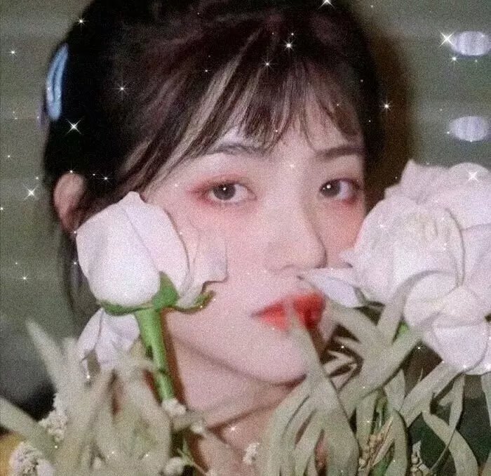 美丽王国
